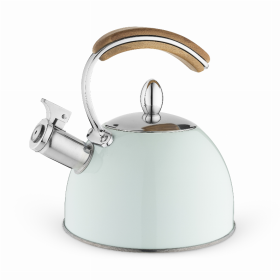 Presley Pistachio Tea Kettle By Pinky Up